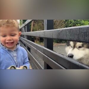 Meet your Posher, Lisa mari